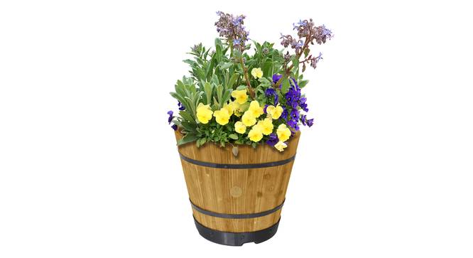 VegTrug Wooden Barrel Planters 37cm Burnt Oak-IND-121-WPB300N (Brown) by Urban Ladder - Cross View Design 1 - 887446