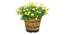 VegTrug Wooden Barrel Planters 46cm Burnt Oak-IND-122-WPB400N (Brown) by Urban Ladder - Cross View Design 1 - 887447