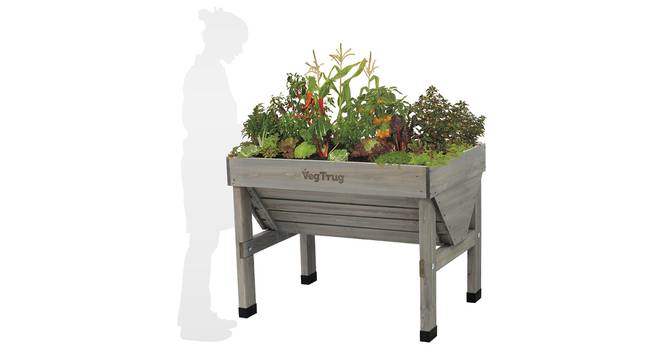 VegTrug Classic Small 1m Grey Wash (Grey) by Urban Ladder - Front View Design 1 - 887452