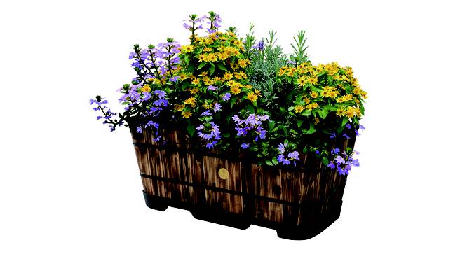 VegTrug Wooden Trough Planter 90cm Burnt Oak (Brown) by Urban Ladder - Front View Design 1 - 887498