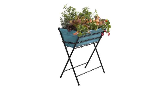 VegTrug Poppy Planter with Blue Liner (Blue) by Urban Ladder - Front View Design 1 - 887500