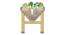 VegTrug Classic Medium 1.8m Natural (Brown) by Urban Ladder - Rear View Design 1 - 887503