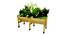 VegTrug Classic Medium 1.8m Natural (Brown) by Urban Ladder - Design 1 Side View - 887508