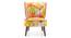 Grace Accent Chair (Holichroma) by Urban Ladder - - 887546