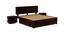 Xiomara Storage bed (Walnut Finish, Queen Bed Size, With Drawer Configuration, Box Storage Type) by Urban Ladder - Ground View Design 1 - 887750