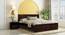 Diamond non storage bed (Walnut Finish, Queen Bed Size) by Urban Ladder - Front View Design 1 - 887790