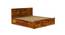 Diamond Storage bed (Queen Bed Size, Box Storage Type, Honey Oak Finish, With Box Storage Configuration) by Urban Ladder - Ground View Design 1 - 887844