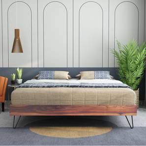 woodenmood Aurelio Solid Wood Queen Size Box Storage Bed in Teak Finish-picture-13
