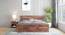Stainfield Storage Bed (Teak Finish, King Bed Size, Box Storage Type, With Box Storage Configuration) by Urban Ladder - Front View Design 1 - 888027
