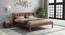 Plane non storage bed (Teak Finish, Queen Bed Size) by Urban Ladder - Ground View Design 1 - 888051