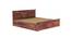 Stainfield Storage Bed (Teak Finish, King Bed Size, Box Storage Type, With Box Storage Configuration) by Urban Ladder - Ground View Design 1 - 888055