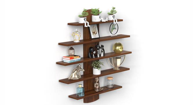 Caselle Engineered Wood Bookshelf with Brown Maple finish (Brown Maple Finish) by Urban Ladder - Front View Design 1 - 888650