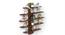 Caselle Engineered Wood Bookshelf with Brown Maple finish (Brown Maple Finish) by Urban Ladder - Front View Design 1 - 888650