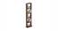 Walten Engineered Wood Bookshelf with Brown Maple finish (Brown Maple Finish) by Urban Ladder - Front View Design 1 - 888656