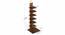 Osvil Engineered Wood Bookshelf with Brown Maple finish (Brown Maple Finish) by Urban Ladder - Design 1 Dimension - 888711