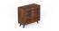 Carlem Engineered Wood Shoe Cabinet  with Brown Maple finish (Brown Maple Finish) by Urban Ladder - Front View Design 1 - 888744