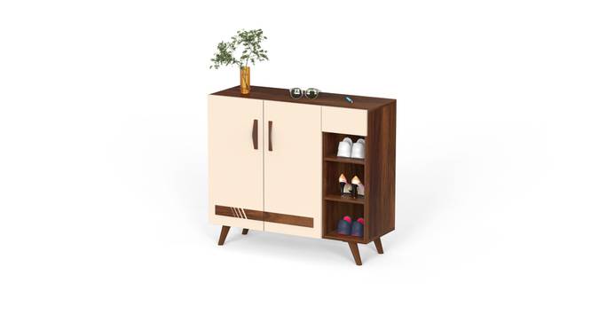 Olreye Engineered Wood Shoe Cabinet with Brown Maple & Beige finish (Brown Maple & Beige Finish) by Urban Ladder - Front View Design 1 - 888748