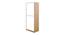 Knox 2 Door Wardrobe (Exotic Teak Finish) by Urban Ladder - Design 1 Side View - 889049