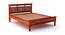 Medhasvini Bed Without Storage (Bed Size : Queen; Finish : Honey) (Queen Bed Size, HONEY Finish) by Urban Ladder - - 