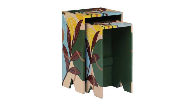 Luna Solid Wood Hand Painted Nesting Table in Multi Colour (Set of 2) (Painted Finish) by Urban Ladder - - 