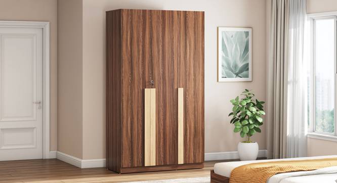 Rodrigues 3 Door Wardrobe Rolex Brown (Ebony Finish) by Urban Ladder - - 