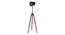 asher Without Star Floor Lamp Black (Black) by Urban Ladder - Ground View Design 1 - 890975