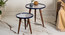 Warli Chitra Round Nesting Tables with Wooden Legs (Matte Finish) by Urban Ladder - Design 1 Top View - 891171