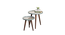 Vriksha Round Nesting Tables with Wooden Legs (Matte Finish) by Urban Ladder - Design 1 Close View - 891189