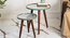 Vriksha Round Nesting Tables with Wooden Legs (Matte Finish) by Urban Ladder - Design 1 Side View - 891193