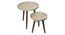 Vriksha Round Nesting Tables with Wooden Legs (Matte Finish) by Urban Ladder - Design 1 Close View - 891199
