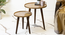 Peach and Gold Floral Round Nesting Tables with Wooden Legs (Matte Finish) by Urban Ladder - Cross View Design 1 - 891250