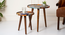 Muddy Miles Round Nesting Tables with Wooden Legs (Matte Finish) by Urban Ladder - Design 1 Zoomed Image - 891257