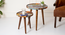 Muddy Miles Round Nesting Tables with Wooden Legs (Matte Finish) by Urban Ladder - Design 1 Side View - 891259