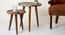 Muddy Miles Round Nesting Tables with Wooden Legs (Matte Finish) by Urban Ladder - Design 1 Top View - 891261