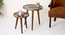 Muddy Miles Round Nesting Tables with Wooden Legs (Matte Finish) by Urban Ladder - Design 1 Template - 891263