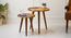 Crushing on Coffee Round Nesting Tables with Wooden Legs (Matte Finish) by Urban Ladder - Cross View Design 1 - 891270