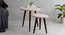Ethereal Gold Round Nesting Tables with Wooden Legs (Matte Finish) by Urban Ladder - Rear View Design 1 - 891275