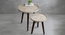 Ethereal Gold Round Nesting Tables with Wooden Legs (Matte Finish) by Urban Ladder - Design 1 Zoomed Image - 891279
