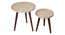 Ethereal Gold Round Nesting Tables with Wooden Legs (Matte Finish) by Urban Ladder - Design 1 Template - 891288
