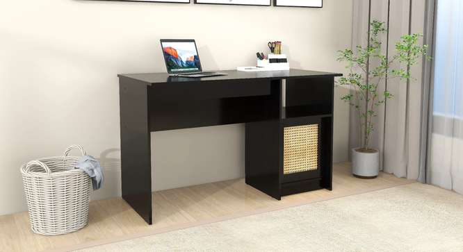 Hayao Workstation (Rattan Door) (Wenge Finish) by Urban Ladder - Design 1 Side View - 891447