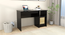 Hayao Workstation (Rattan Door) (Wenge Finish) by Urban Ladder - Design 1 Side View - 891447