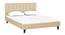 Dallas Slummber Upholstered Bed (Queen Bed Size, Honey Oak Finish) by Urban Ladder - - 