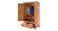 Alaca 2 Door 2 Drawer Warddrobe (2 Door Configuration, Light Honey Finish) by Urban Ladder - Rear View Design 1 - 893427