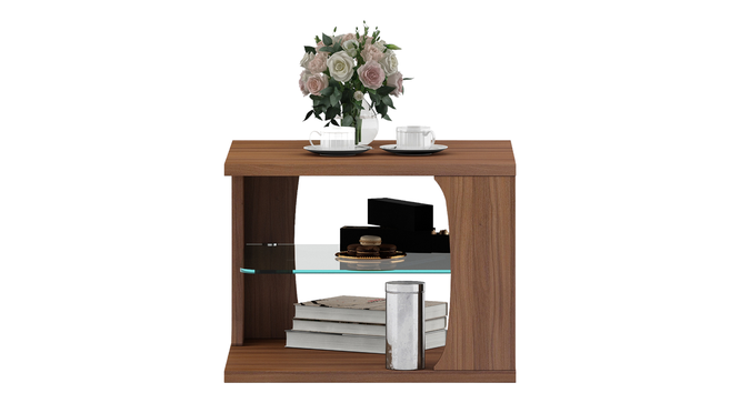BRIA CENTER TABLE (Exotic Teak Finish) by Urban Ladder - Front View Design 1 - 893764