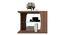 BRIA CENTER TABLE (Exotic Teak Finish) by Urban Ladder - Ground View Design 1 - 893781