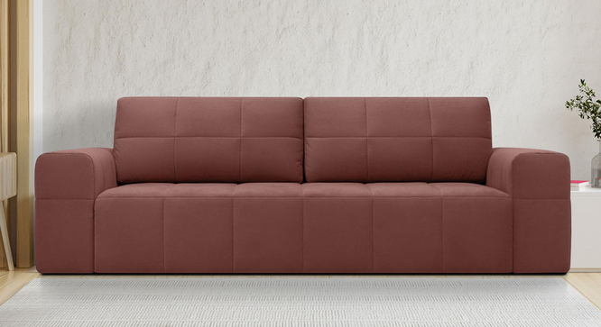 Riyab 3 Seater Fold Out Sofa Cum Bed In Nav Blue  Colour (Pink) by Urban Ladder - Front View Design 1 - 895773
