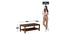 Denver  Coffee Table (PROVINCIAL TEAK Finish) by Urban Ladder - Design 1 Dimension - 896390