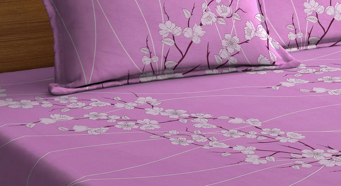 Alaya   Multicolour Floral 400 TC Pure Cotton Fitted Double Bedsheet with 2 Pillow Covers (King Size, Multi) by Urban Ladder - - 