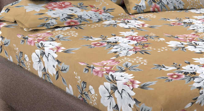 Felix   Multicolour Floral 300 TC Cotton Blend Fitted Double Bedsheet with 4 Pillow Covers (King Size, Multi) by Urban Ladder - - 
