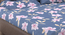 Audrey   Multicolour Floral 300 TC Cotton Blend Fitted Double Bedsheet with 4 Pillow Covers (King Size, Multi) by Urban Ladder - - 